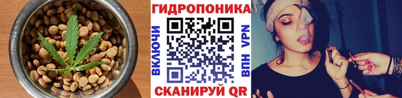 Canna-Cookies конопля  Северская 