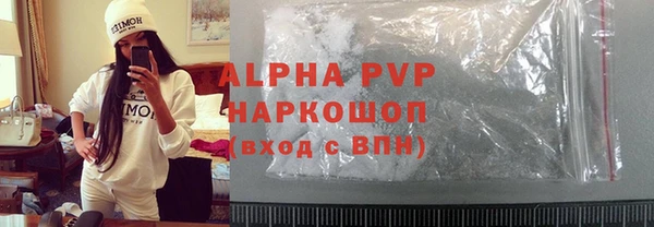 прущие грибы Абаза