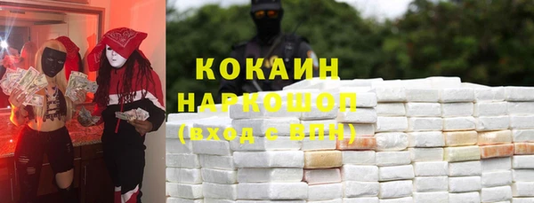 прущие грибы Абаза