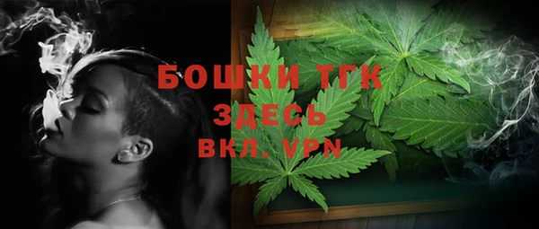 прущие грибы Абаза