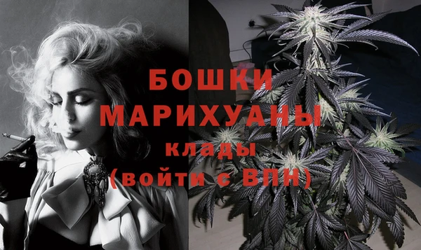ПСИЛОЦИБИНОВЫЕ ГРИБЫ Лихославль