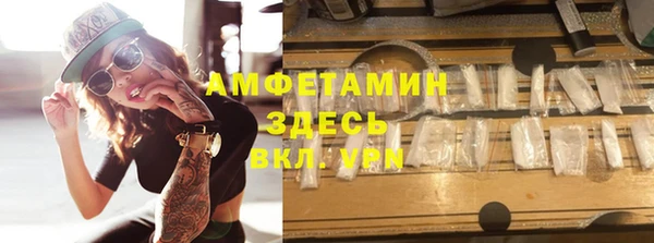 прущие грибы Абаза