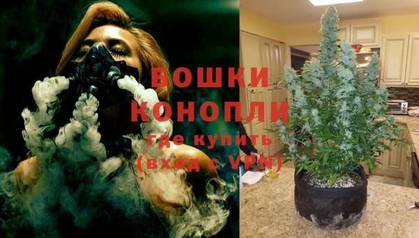 ПСИЛОЦИБИНОВЫЕ ГРИБЫ Лихославль
