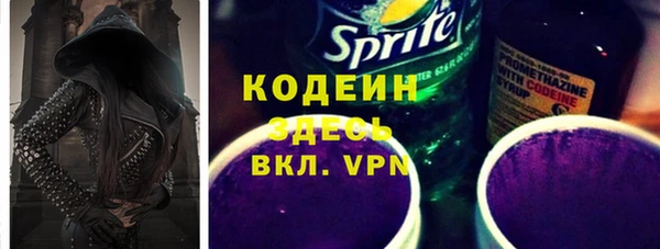 прущие грибы Абаза