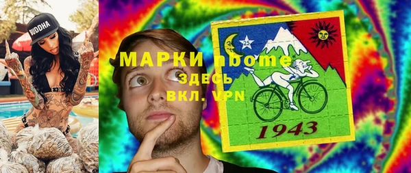 прущие грибы Абаза