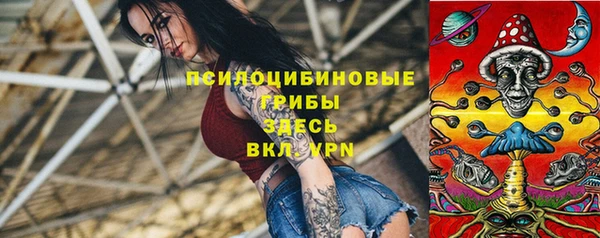 прущие грибы Абаза