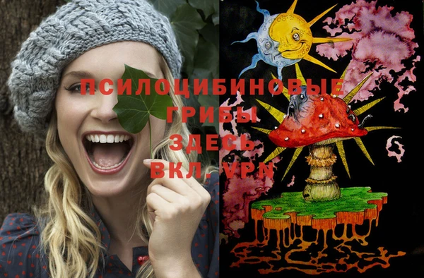 твердый Алзамай