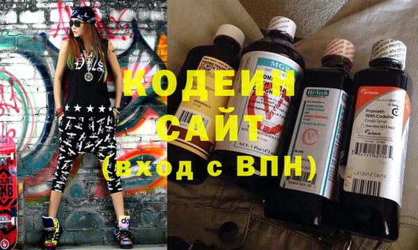 прущие грибы Абаза