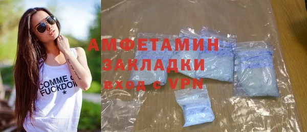 прущие грибы Абаза